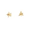 ALE. NEROLI earrings (N/K -15- AG/AU), gold-plated silver