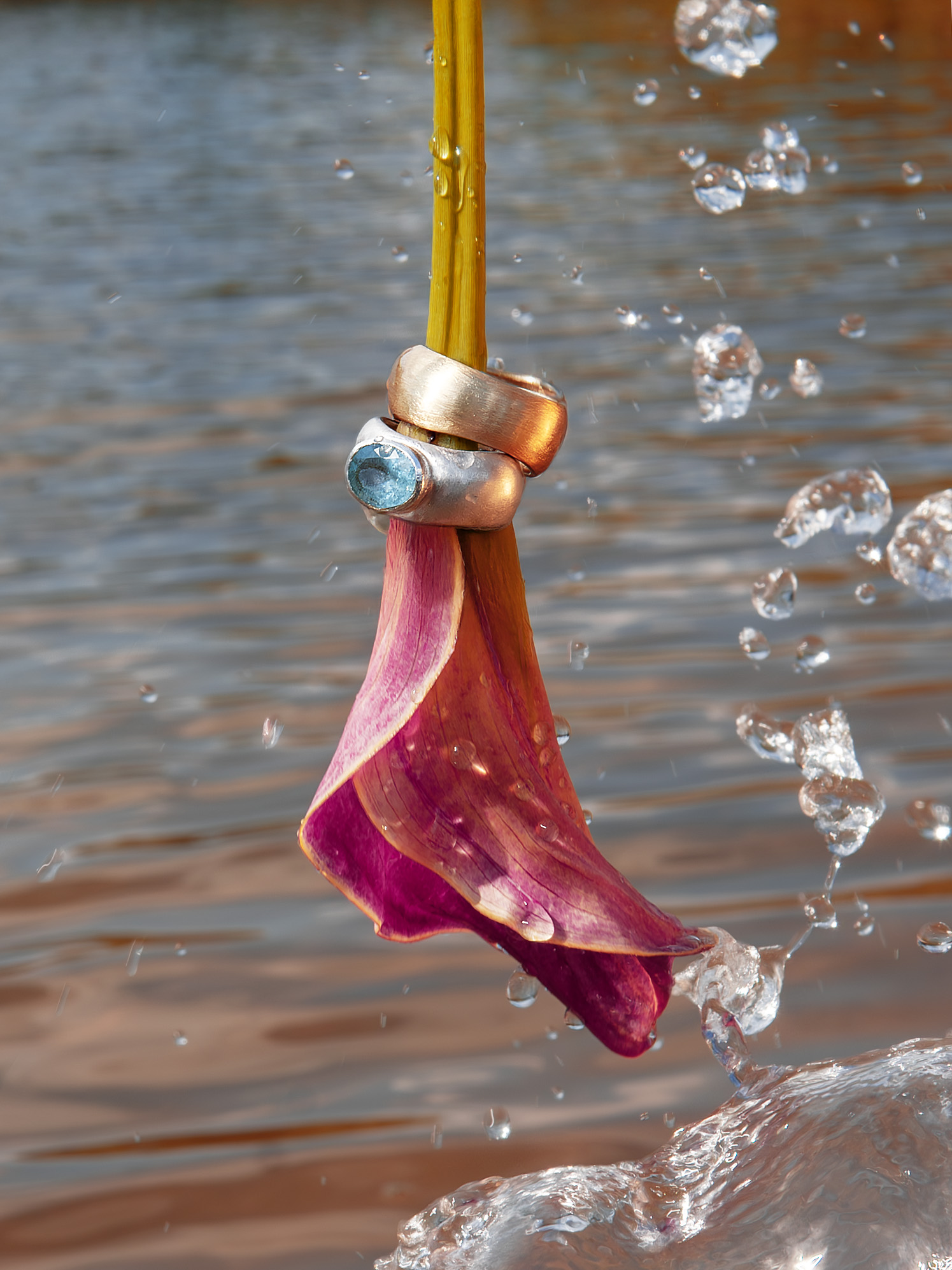 DSC01594-Poprawione-NR