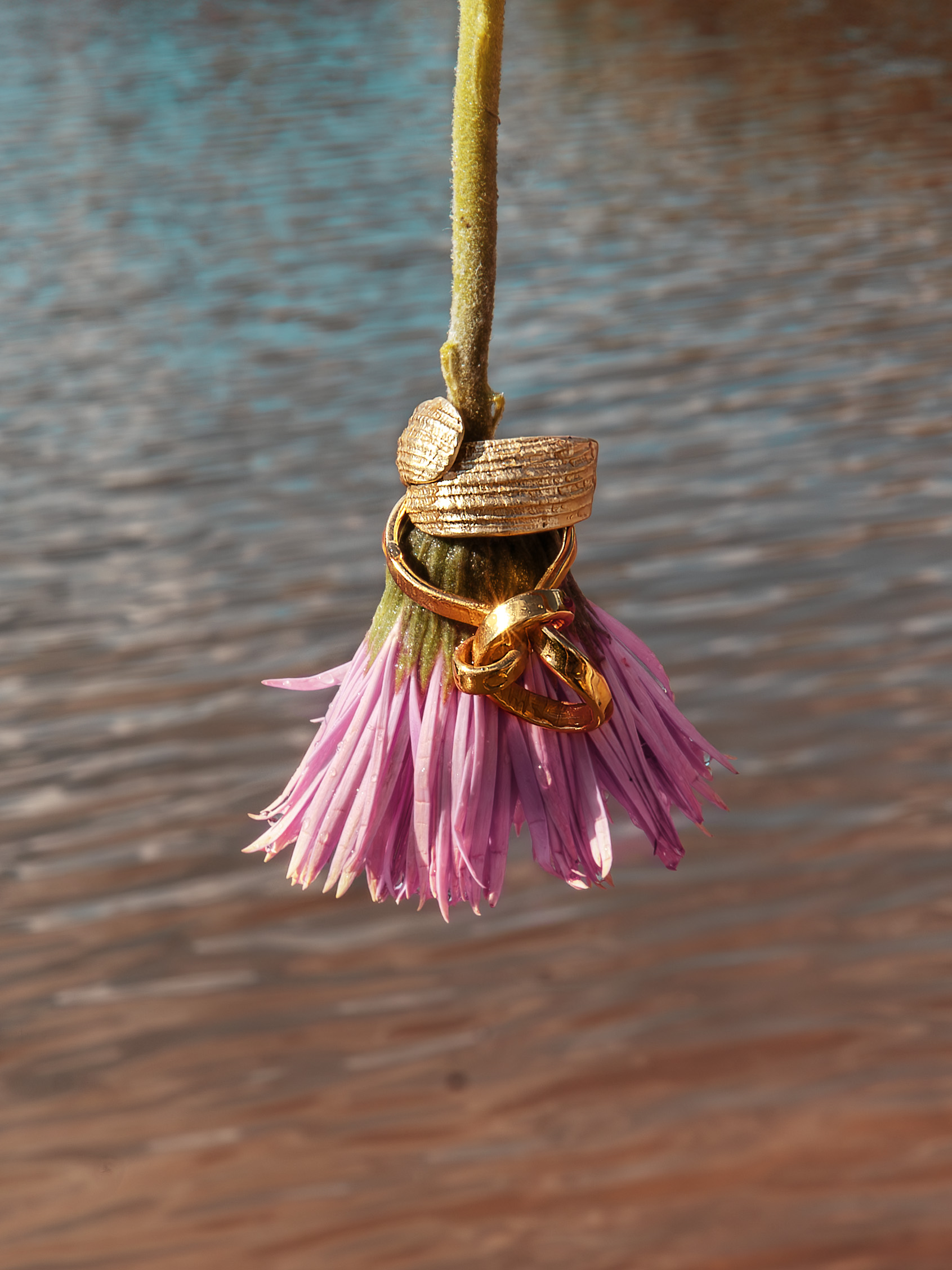 DSC01624-Poprawione-NR